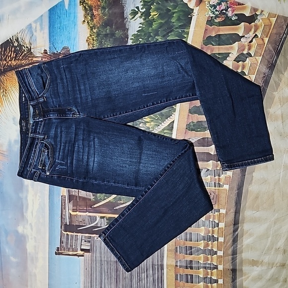 Judy Blue Slim Fit‎ Distressed Jeans Size 5/27 - Picture 1 of 5